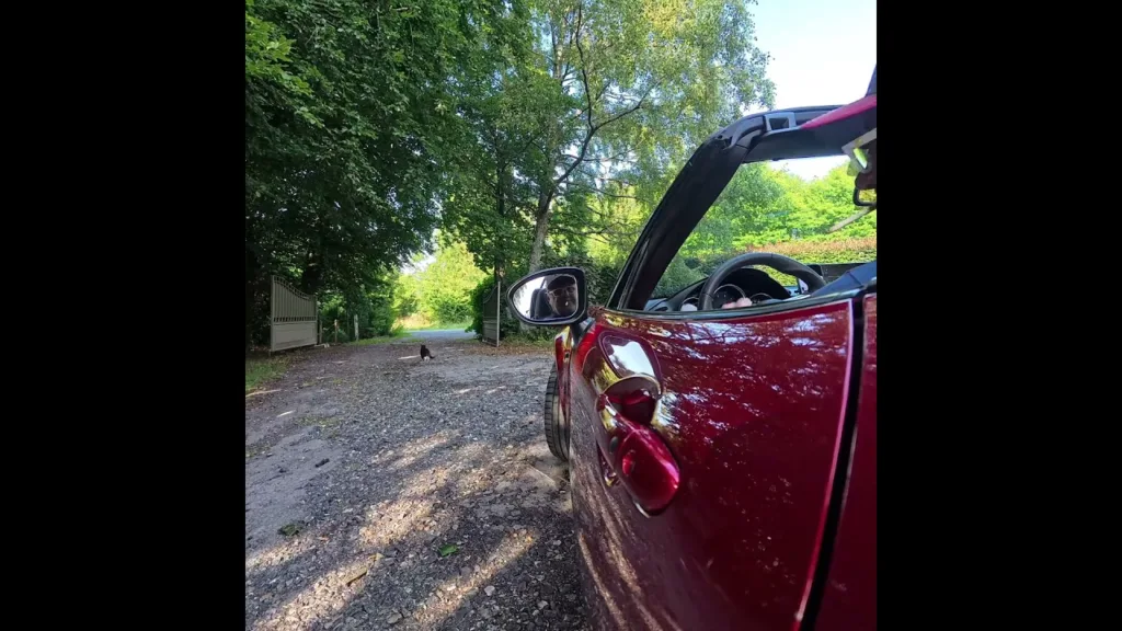 Pouet le Chat 🙀! même pas peur du nouveau Klaxon de la MX5 🤣😂 #mx5 #automobile #miata #cat #chat