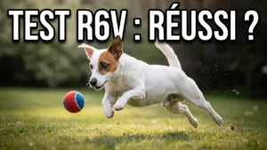 Viktor en action : Le Canon R6V a-t-il réussi le test ?