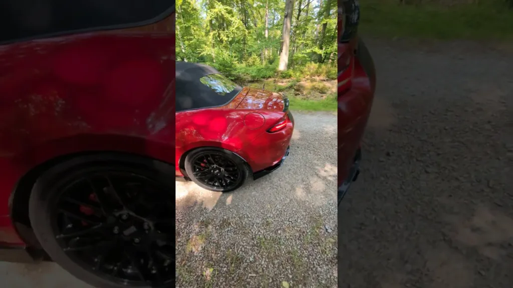 Un petit tour dans les bois avec mon GrosChat 😻 ma MX5 2.0L #miata #mx5 #spsmotorsport